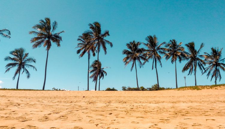zahide ile gonul daginda iyilik dalgasi yaratma hareketi